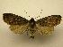  ( - 08-CRBS-843)  @14 [ ] Unspecified (default): All Rights Reserved  Unspecified Unspecified