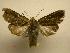  ( - 08-CRBS-844)  @13 [ ] Unspecified (default): All Rights Reserved  Unspecified Unspecified