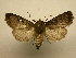  ( - 08-CRBS-848)  @14 [ ] Unspecified (default): All Rights Reserved  Unspecified Unspecified