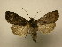  ( - 08-CRBS-850)  @14 [ ] Unspecified (default): All Rights Reserved  Unspecified Unspecified