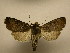  ( - 08-CRBS-852)  @14 [ ] Unspecified (default): All Rights Reserved  Unspecified Unspecified