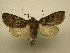  ( - 08-CRBS-865)  @14 [ ] Unspecified (default): All Rights Reserved  Unspecified Unspecified