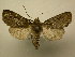  ( - 08-CRBS-866)  @14 [ ] Unspecified (default): All Rights Reserved  Unspecified Unspecified