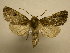  ( - 08-CRBS-867)  @14 [ ] Unspecified (default): All Rights Reserved  Unspecified Unspecified