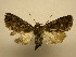  ( - 08-CRBS-884)  @13 [ ] Unspecified (default): All Rights Reserved  Unspecified Unspecified