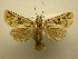  ( - 08-CRBS-914)  @13 [ ] Unspecified (default): All Rights Reserved  Unspecified Unspecified