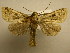  ( - 08-CRBS-915)  @13 [ ] Unspecified (default): All Rights Reserved  Unspecified Unspecified