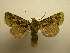  ( - 08-CRBS-919)  @14 [ ] Unspecified (default): All Rights Reserved  Unspecified Unspecified