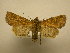  ( - 08-CRBS-925)  @11 [ ] Unspecified (default): All Rights Reserved  Unspecified Unspecified