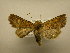  ( - 08-CRBS-926)  @11 [ ] Unspecified (default): All Rights Reserved  Unspecified Unspecified
