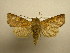  ( - 08-CRBS-927)  @11 [ ] Unspecified (default): All Rights Reserved  Unspecified Unspecified
