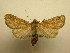  ( - 08-CRBS-928)  @11 [ ] Unspecified (default): All Rights Reserved  Unspecified Unspecified