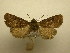  ( - 08-CRBS-929)  @11 [ ] Unspecified (default): All Rights Reserved  Unspecified Unspecified