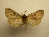  ( - 08-CRBS-935)  @12 [ ] Unspecified (default): All Rights Reserved  Unspecified Unspecified