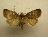  ( - 08-CRBS-936)  @12 [ ] Unspecified (default): All Rights Reserved  Unspecified Unspecified