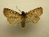  ( - 08-CRBS-937)  @12 [ ] Unspecified (default): All Rights Reserved  Unspecified Unspecified