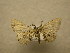  ( - 08-CRBS-950)  @11 [ ] Unspecified (default): All Rights Reserved  Unspecified Unspecified
