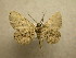  ( - 08-CRBS-951)  @11 [ ] Unspecified (default): All Rights Reserved  Unspecified Unspecified