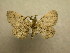 ( - 08-CRBS-952)  @11 [ ] Unspecified (default): All Rights Reserved  Unspecified Unspecified