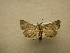  ( - 08-CRBS-960)  @13 [ ] Unspecified (default): All Rights Reserved  Unspecified Unspecified