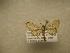  ( - 08-CRBS-1000)  @13 [ ] Unspecified (default): All Rights Reserved  Unspecified Unspecified