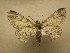  ( - 08-CRBS-1010)  @14 [ ] Unspecified (default): All Rights Reserved  Unspecified Unspecified