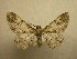  ( - 08-CRBS-1011)  @14 [ ] Unspecified (default): All Rights Reserved  Unspecified Unspecified