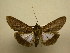  ( - 09-CRBS-002)  @13 [ ] Unspecified (default): All Rights Reserved  Unspecified Unspecified