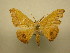  ( - 09-CRBS-030)  @13 [ ] Unspecified (default): All Rights Reserved  Unspecified Unspecified
