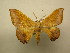  ( - 09-CRBS-031)  @12 [ ] Unspecified (default): All Rights Reserved  Unspecified Unspecified