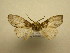  ( - 09-CRBS-073)  @13 [ ] Unspecified (default): All Rights Reserved  Unspecified Unspecified