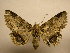  ( - 09-CRBS-100)  @14 [ ] Unspecified (default): All Rights Reserved  Unspecified Unspecified