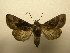  ( - 09-CRBS-174)  @13 [ ] Unspecified (default): All Rights Reserved  Unspecified Unspecified