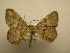  ( - 09-CRBS-246)  @12 [ ] Unspecified (default): All Rights Reserved  Unspecified Unspecified