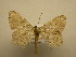  ( - 09-CRBS-247)  @13 [ ] Unspecified (default): All Rights Reserved  Unspecified Unspecified