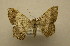  ( - 09-CRBS-249)  @13 [ ] Unspecified (default): All Rights Reserved  Unspecified Unspecified