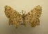  ( - 09-CRBS-252)  @13 [ ] Unspecified (default): All Rights Reserved  Unspecified Unspecified