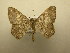  ( - 09-CRBS-254)  @12 [ ] Unspecified (default): All Rights Reserved  Unspecified Unspecified