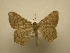  ( - 09-CRBS-258)  @12 [ ] Unspecified (default): All Rights Reserved  Unspecified Unspecified