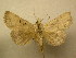  ( - 09-CRBS-290)  @14 [ ] Unspecified (default): All Rights Reserved  Unspecified Unspecified