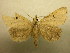  ( - 09-CRBS-296)  @12 [ ] Unspecified (default): All Rights Reserved  Unspecified Unspecified