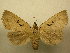  ( - 09-CRBS-299)  @13 [ ] Unspecified (default): All Rights Reserved  Unspecified Unspecified