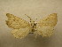  ( - 09-CRBS-305)  @11 [ ] Unspecified (default): All Rights Reserved  Unspecified Unspecified
