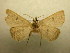  ( - 09-CRBS-306)  @11 [ ] Unspecified (default): All Rights Reserved  Unspecified Unspecified