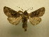  ( - 09-CRBS-316)  @12 [ ] Unspecified (default): All Rights Reserved  Unspecified Unspecified