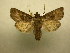  ( - 09-CRBS-317)  @13 [ ] Unspecified (default): All Rights Reserved  Unspecified Unspecified
