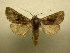  ( - 09-CRBS-318)  @12 [ ] Unspecified (default): All Rights Reserved  Unspecified Unspecified