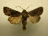  ( - 09-CRBS-319)  @12 [ ] Unspecified (default): All Rights Reserved  Unspecified Unspecified