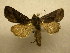  ( - 09-CRBS-323)  @12 [ ] Unspecified (default): All Rights Reserved  Unspecified Unspecified