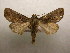  ( - 09-CRBS-327)  @13 [ ] Unspecified (default): All Rights Reserved  Unspecified Unspecified